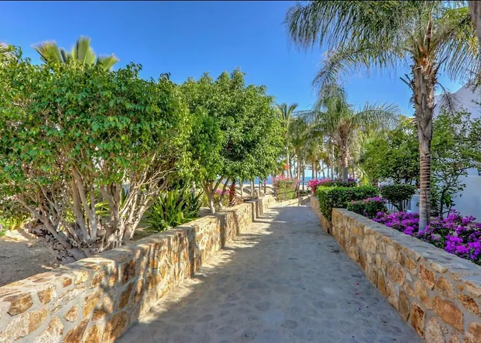 Ocean View, 2 Infinity Pools, Pedregal, Walkable Сasa de vacaciones *